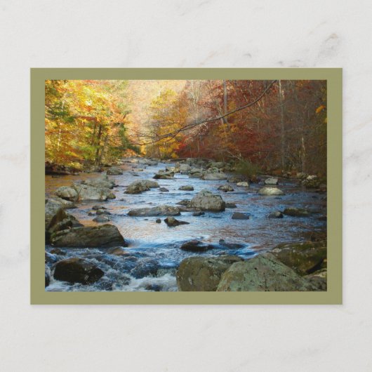 South Branch, Raritan River Briefkaart (Voorkant)