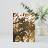 South Carolina Briefkaart (Staand voorkant)