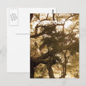 South Carolina Briefkaart (Voorkant / Achterkant)