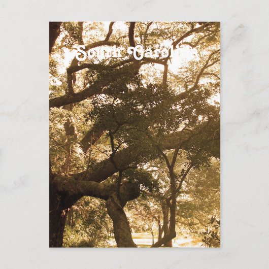 South Carolina Briefkaart (Voorkant)