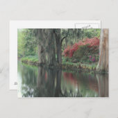 South Carolina, Charleston Briefkaart (Voorkant / Achterkant)