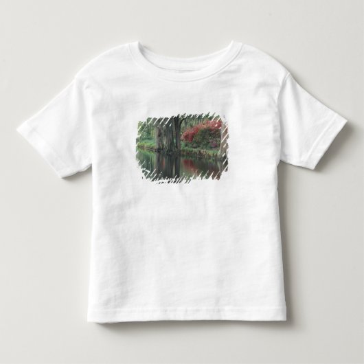 South Carolina, Charleston Kinder Shirts (Voorkant)