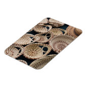 South Carolina, Charleston, Market Hall Magneet (Linkerzijde)