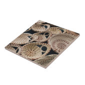 South Carolina, Charleston, Market Hall Tegeltje (Zijkant)