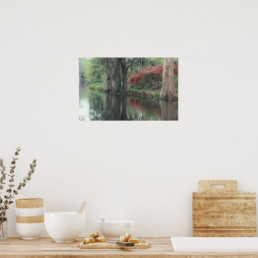 South Carolina, Charleston Poster (Keuken)