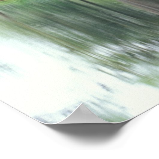 South Carolina, Charleston Poster (Hoek)