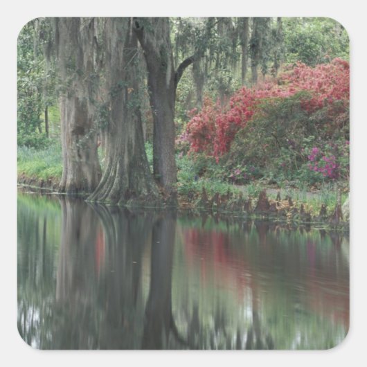 South Carolina, Charleston Vierkante Sticker (Voorkant)
