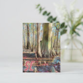 South Carolina Congaree Briefkaart (Staand voorkant)