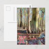 South Carolina Congaree Briefkaart (Voorkant / Achterkant)