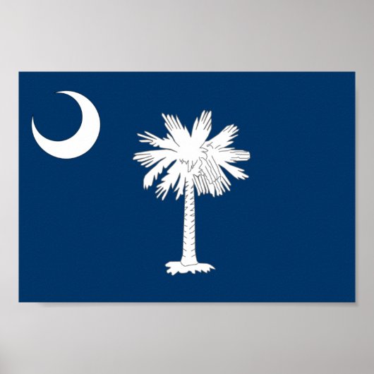 South Carolina Flag Poster (Voorkant)