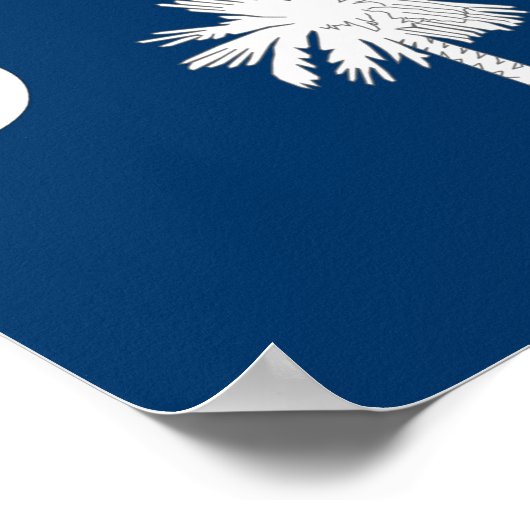 South Carolina Flag Poster (Hoek)