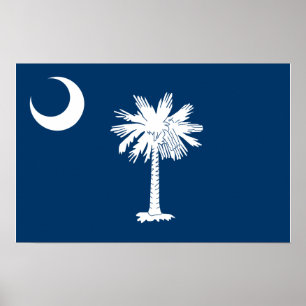 South Carolina Flag Poster