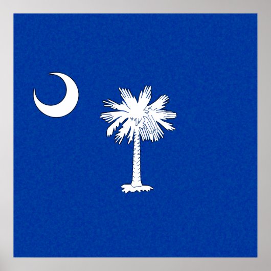 SOUTH CAROLINA FLAG POSTER (Voorkant)