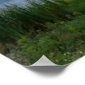 South Carolina Groot onweer watermoeras Poster (Hoek)