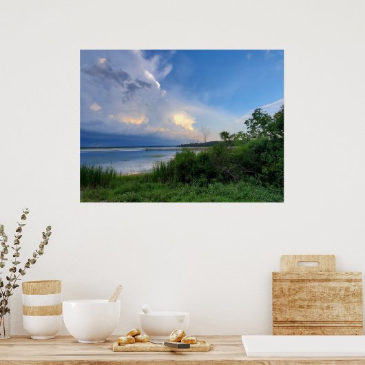 South Carolina Groot onweer watermoeras Poster (Keuken)