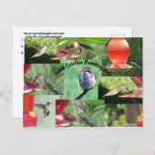 South Carolina Hummingbirds Briefkaart (Voorkant / Achterkant)