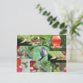 South Carolina Hummingbirds Briefkaart (Staand voorkant)