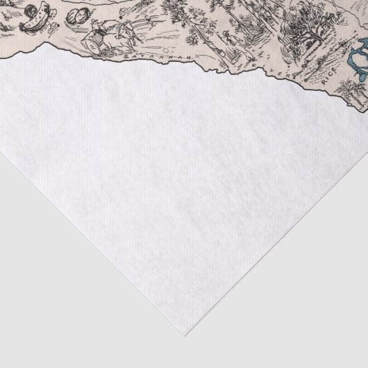 South Carolina kaart van het Afbeelding Tissuepapier (Detail)