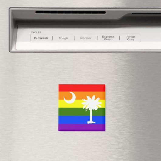 SOUTH CAROLINA LGBT RAINBOW PRIDE FLAG MAGNEET (Insitu (Vaatwasser))