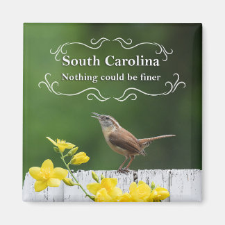 South Carolina Magneet