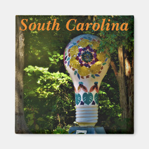 South Carolina magnet