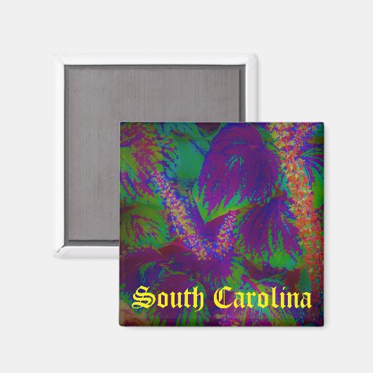 South Carolina magnet (Voorkant / Achterkant)