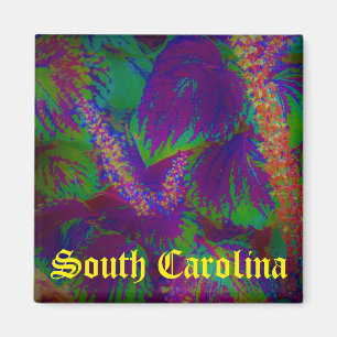 South Carolina magnet