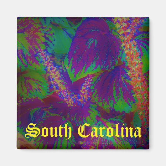 South Carolina magnet (Voorkant)