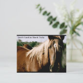 South Carolina Marsh Tacky Briefkaart (Staand voorkant)