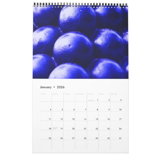 South Carolina ~ Mystery en Geschiedenis Kalender (Jan 2026)