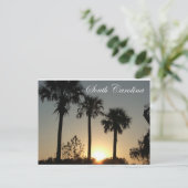 South Carolina Palmetto Sunrise Briefkaart (Staand voorkant)