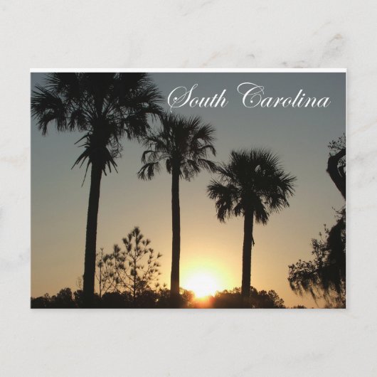South Carolina Palmetto Sunrise Briefkaart (Voorkant)