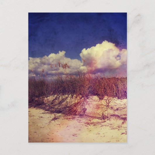 South Carolina Sand Dunes Briefkaart (Voorkant)