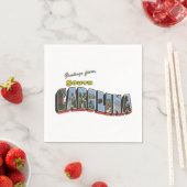 South Carolina Servet (Insitu)