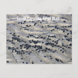 South Carolina Snail Mail 2 Briefkaart