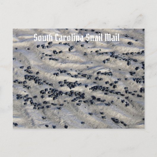 South Carolina Snail Mail 2 Briefkaart (Voorkant)