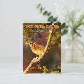 South Carolina State Bird: Carolina Wren Briefkaart (Staand voorkant)