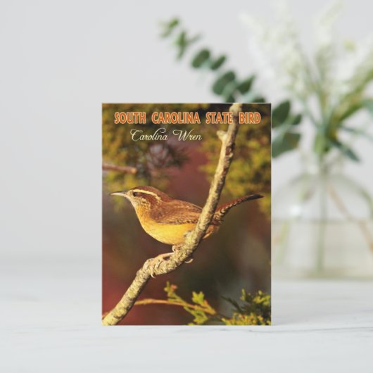 South Carolina State Bird: Carolina Wren Briefkaart (Staand voorkant)