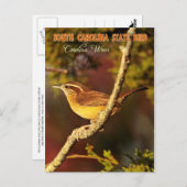 South Carolina State Bird: Carolina Wren Briefkaart (Voorkant / Achterkant)