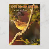 South Carolina State Bird: Carolina Wren Briefkaart (Voorkant)