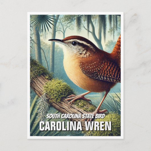 South Carolina State Bird Carolina Wren Briefkaart (Voorkant)