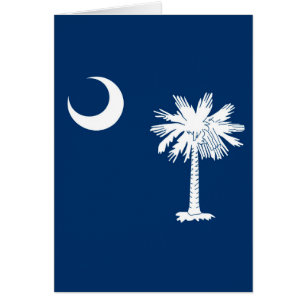 South Carolina State Flag Decor