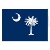 South Carolina State Flag Design Accent (Voorkant Horizontaal)