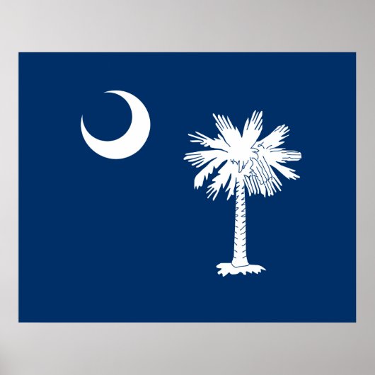 South Carolina State Flag Design Accent Poster (Voorkant)