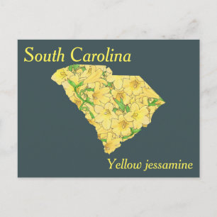 South Carolina State Flower Collage Map Briefkaart