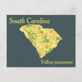 South Carolina State Flower Collage Map Briefkaart (Voorkant)