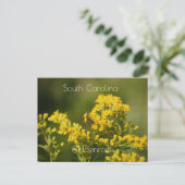 South Carolina State Flower Goldenrod Briefkaart (Staand voorkant)