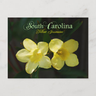 South Carolina State Flower: Yellow Jessamine Briefkaart