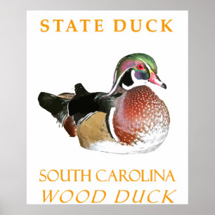 South Carolina Territory Duck Het Hout Eend Poster