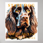 South Carolina Territory Hond De Boykin Spaniel Poster (Voorkant)